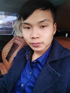 日呆哥在线视频